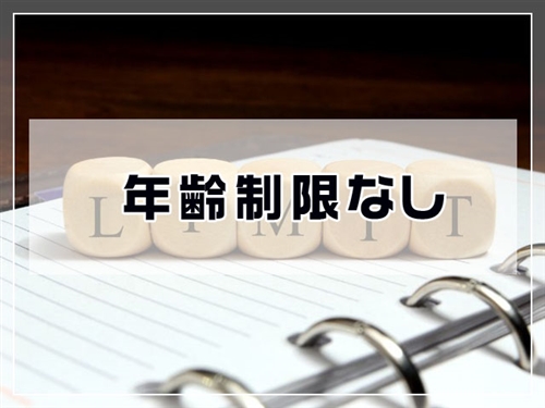 ITプロパートナーズ 対象